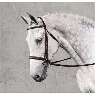 Fancy Wide Show Bridle with Raised Laced Reins T313712