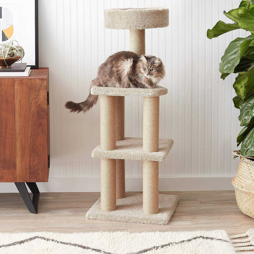Cat Tree with Scratching Posts B164