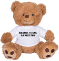 Brown 8 Inch Teddy Bear Stuffed Animal H614