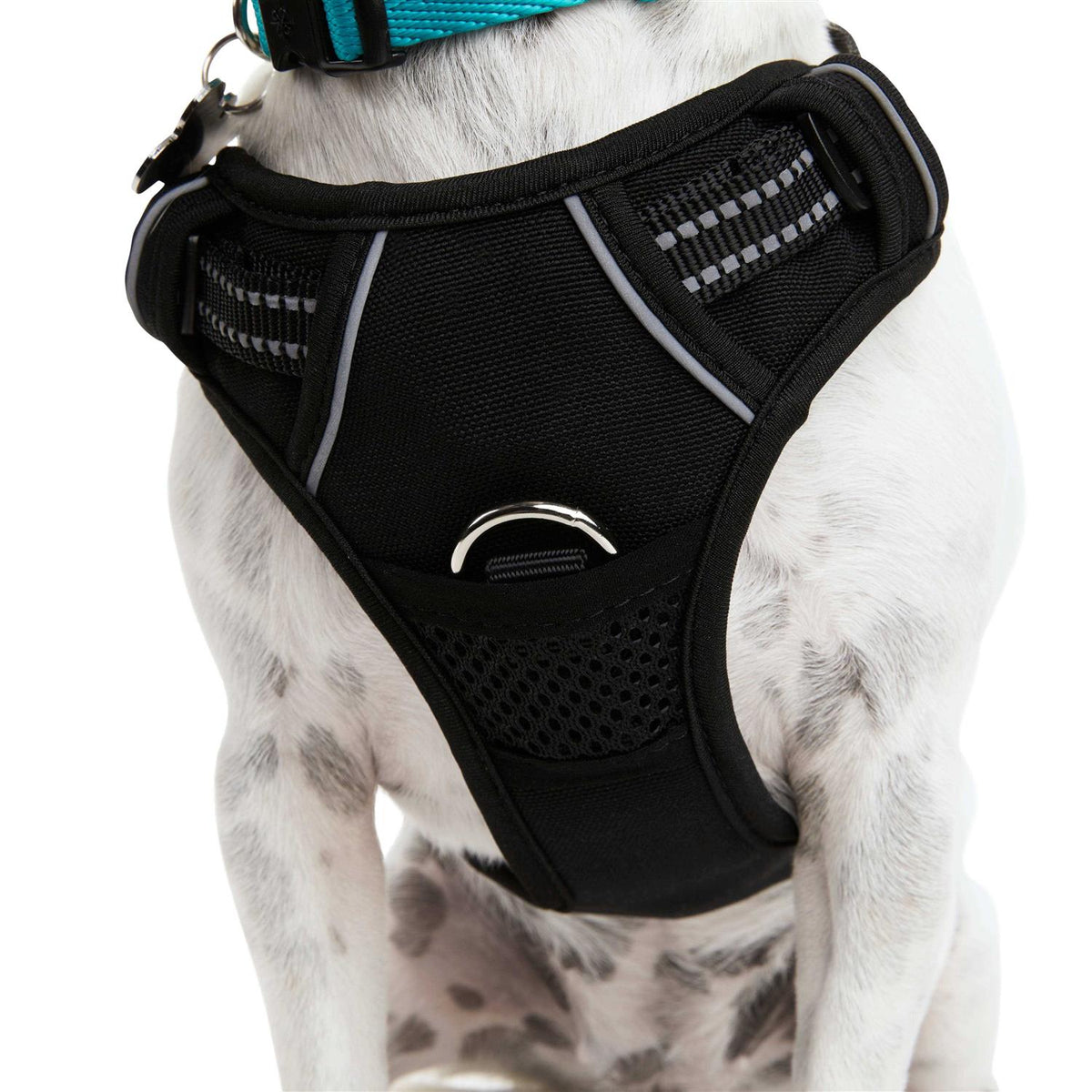 Black Front Walking Dog Harness D3371