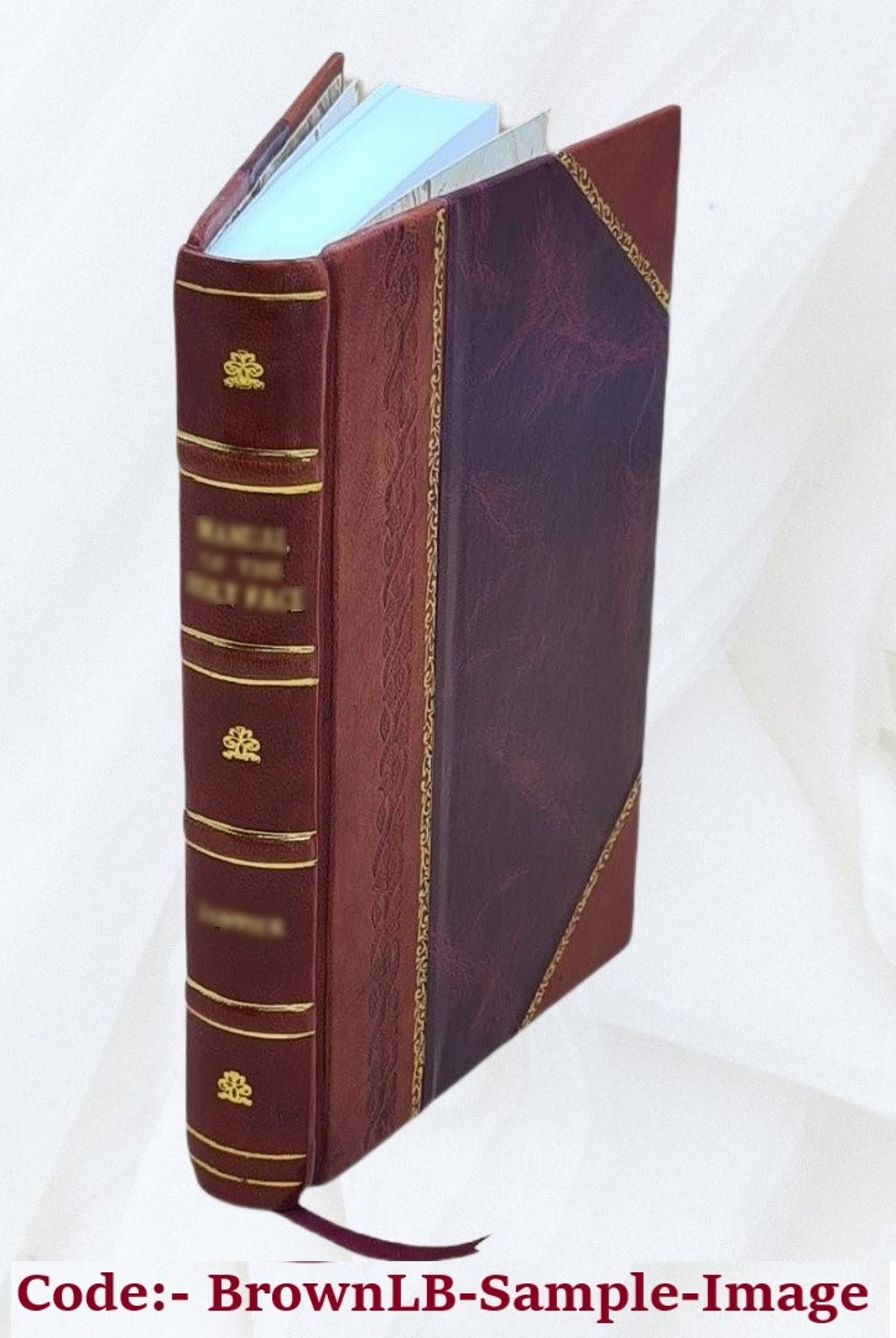 Memoirs of Mrs. Mary Ann Bise, Leather Bound B1263