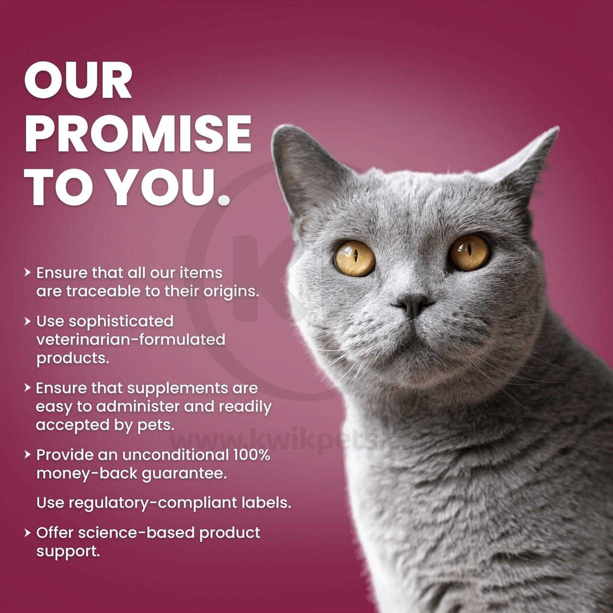 Antimicrobial Wound Spray for Cats S3250