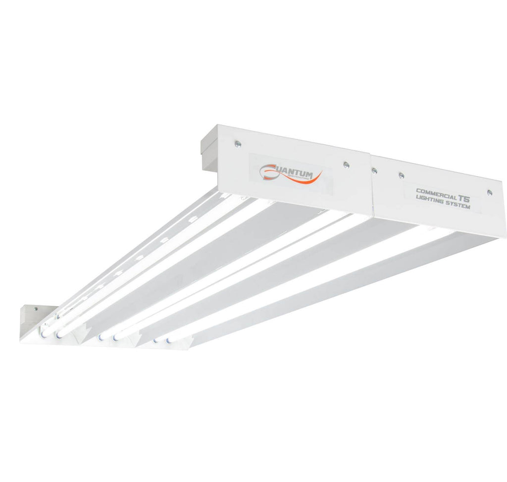 6 Bulb Fixture 324W Z781177