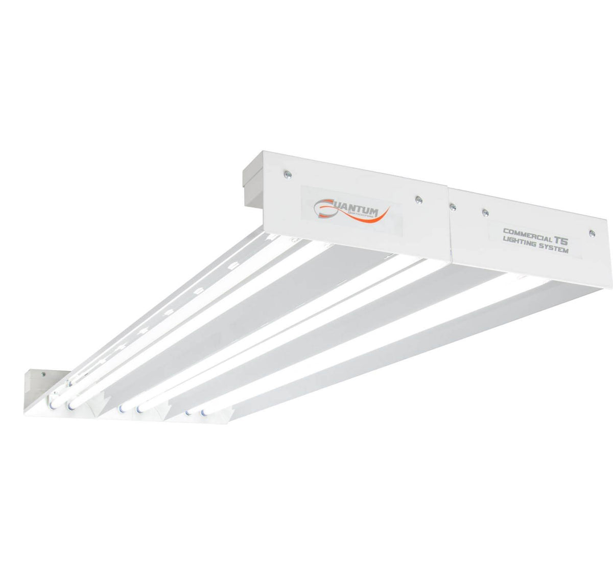 6 Bulb Fixture 324W Z781177