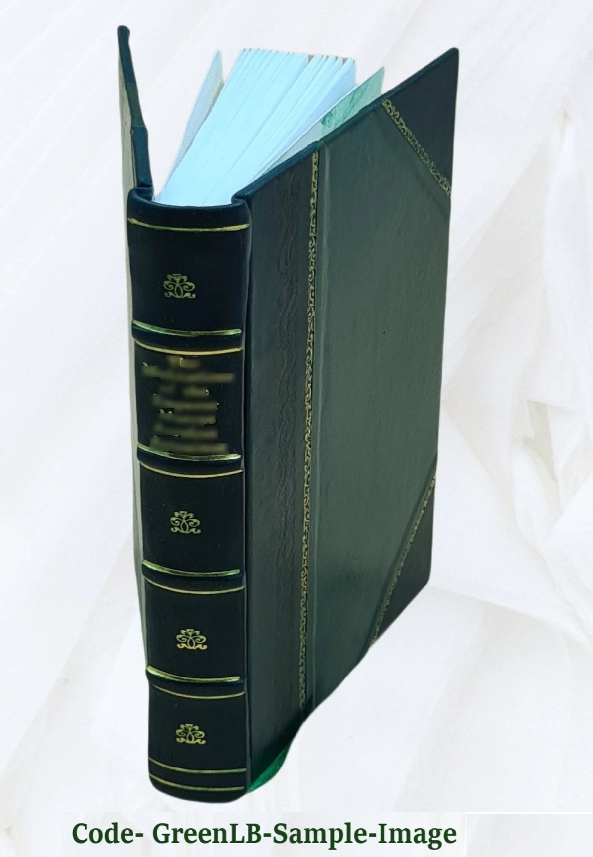 Leather Bound Encyclopedia of Fine Arts D78278