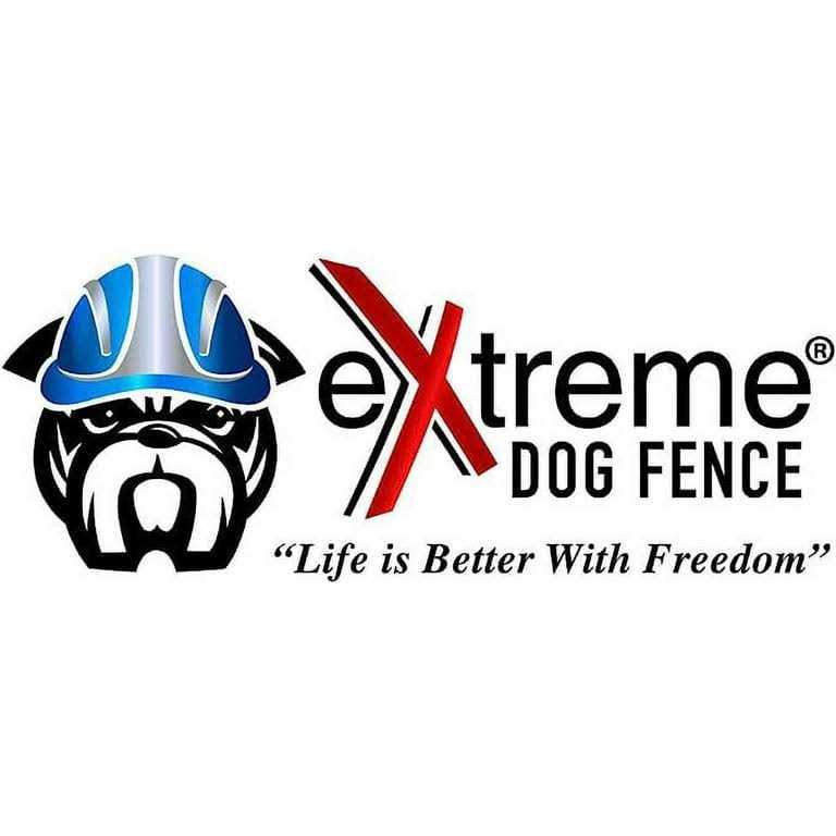 Dog Collar Replacement Strap I31987