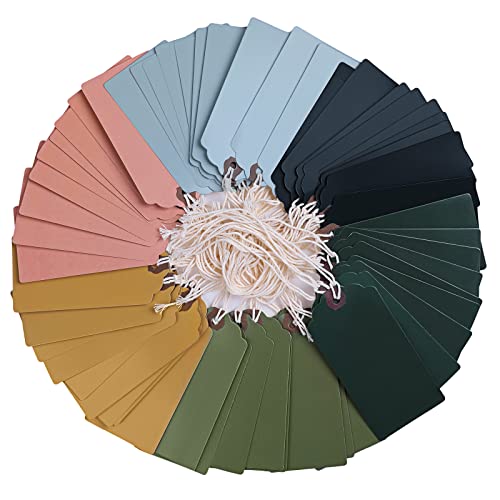 60 Pcs Large Paper Gift Tags with String O710162