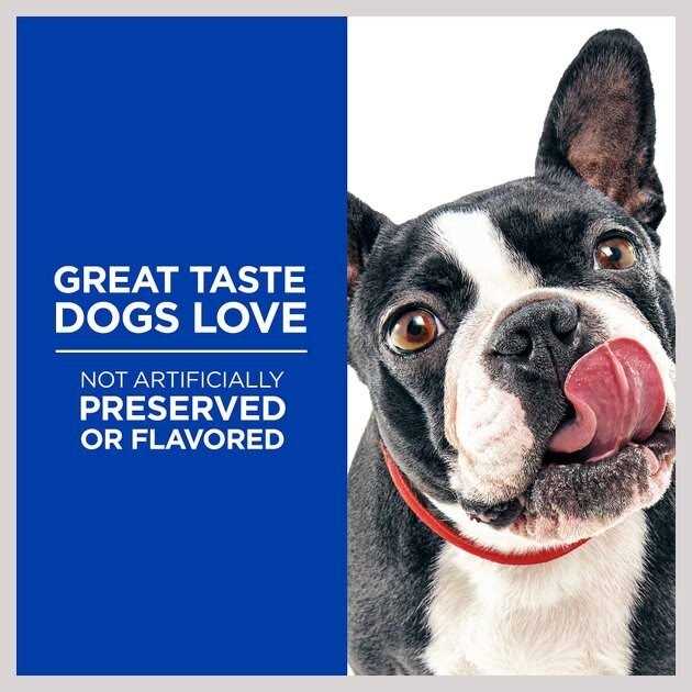 Natural Baked Light Biscuits with Real Chicken Dog Treats N330582